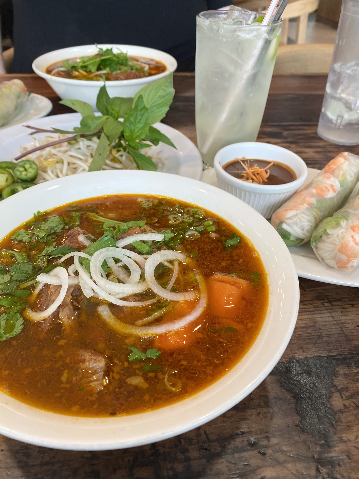Life Lately - 2023 Winter Reflections | She Sweats Diamonds - bo kho - Pho Palace Arlington Vietnamese restaurant
